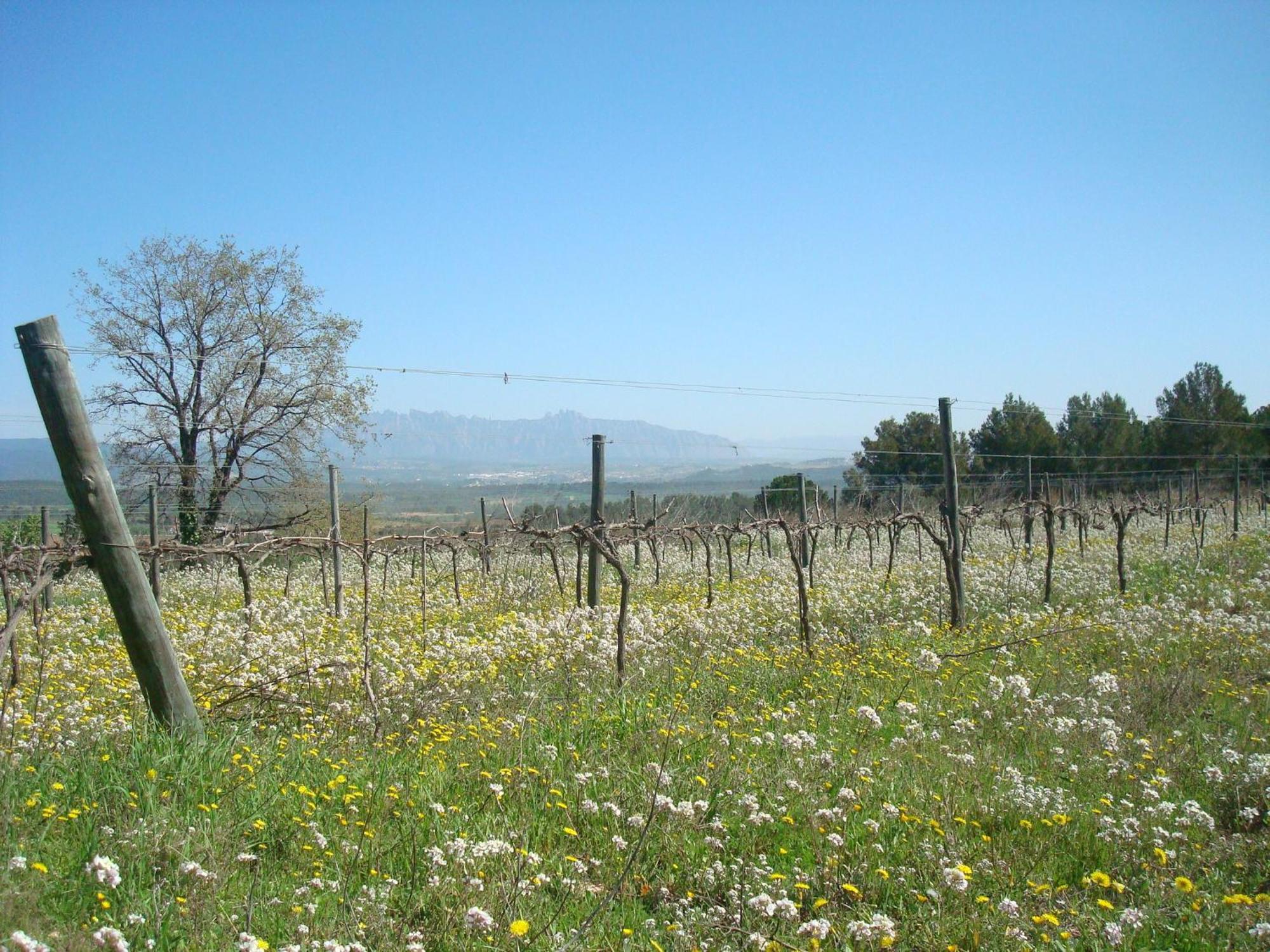 Comarquinal Bioresort Penedes San Quintín de Mediona Esterno foto