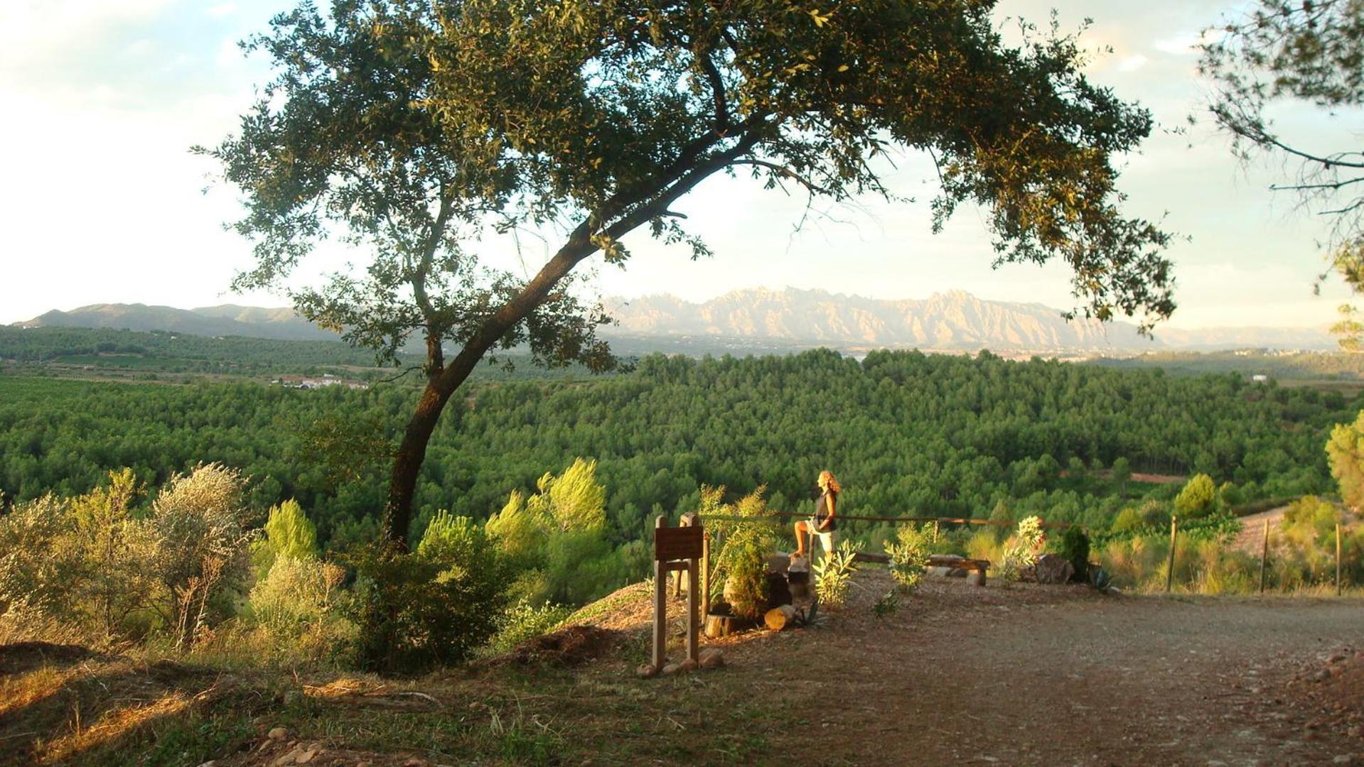 Comarquinal Bioresort Penedes San Quintín de Mediona Esterno foto